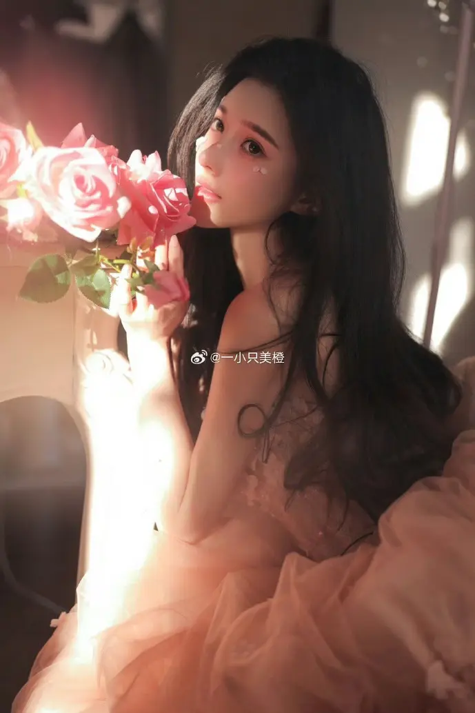 MT软件界面示意图